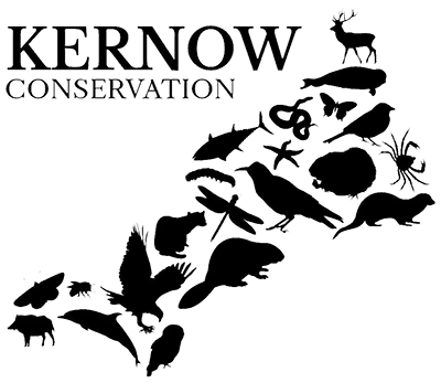 Kernow Conservation